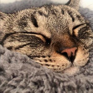 Meet your Posher, Mario